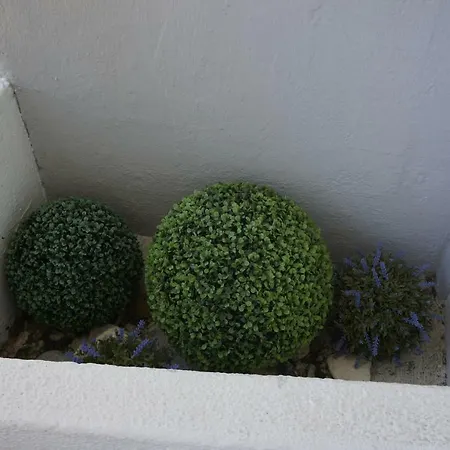 Copacabana * 에수투릴