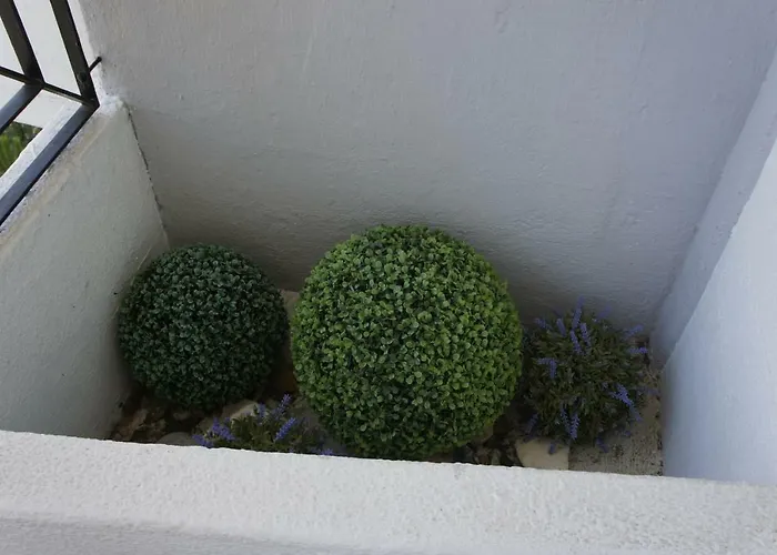 Copacabana * 埃斯托利尔